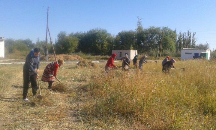 Сенбілік жұмыстары жүргізілуде.