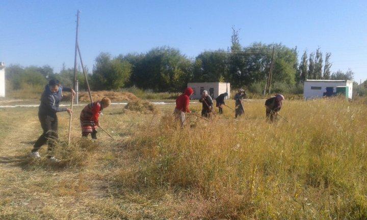 Сенбілік жұмыстары жүргізілуде.