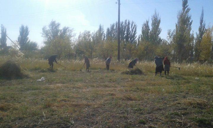 Сенбілік жұмыстары жүргізілуде.