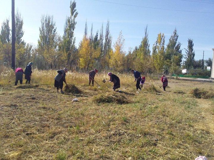 Сенбілік жұмыстары жүргізілуде.