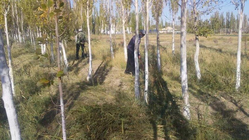 Сенбілік – ұжымдық еңбек дәстүрі